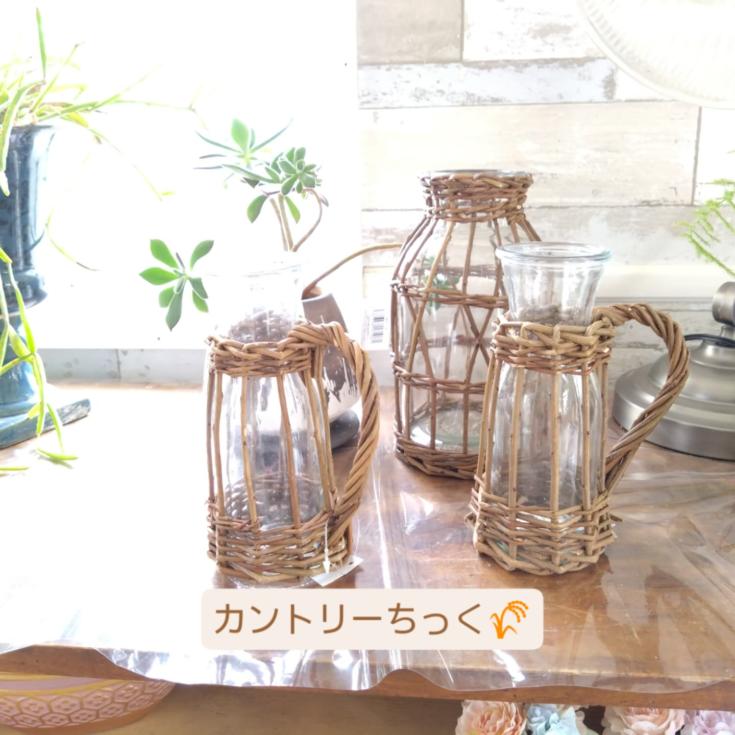 個性的な花器入りました😊