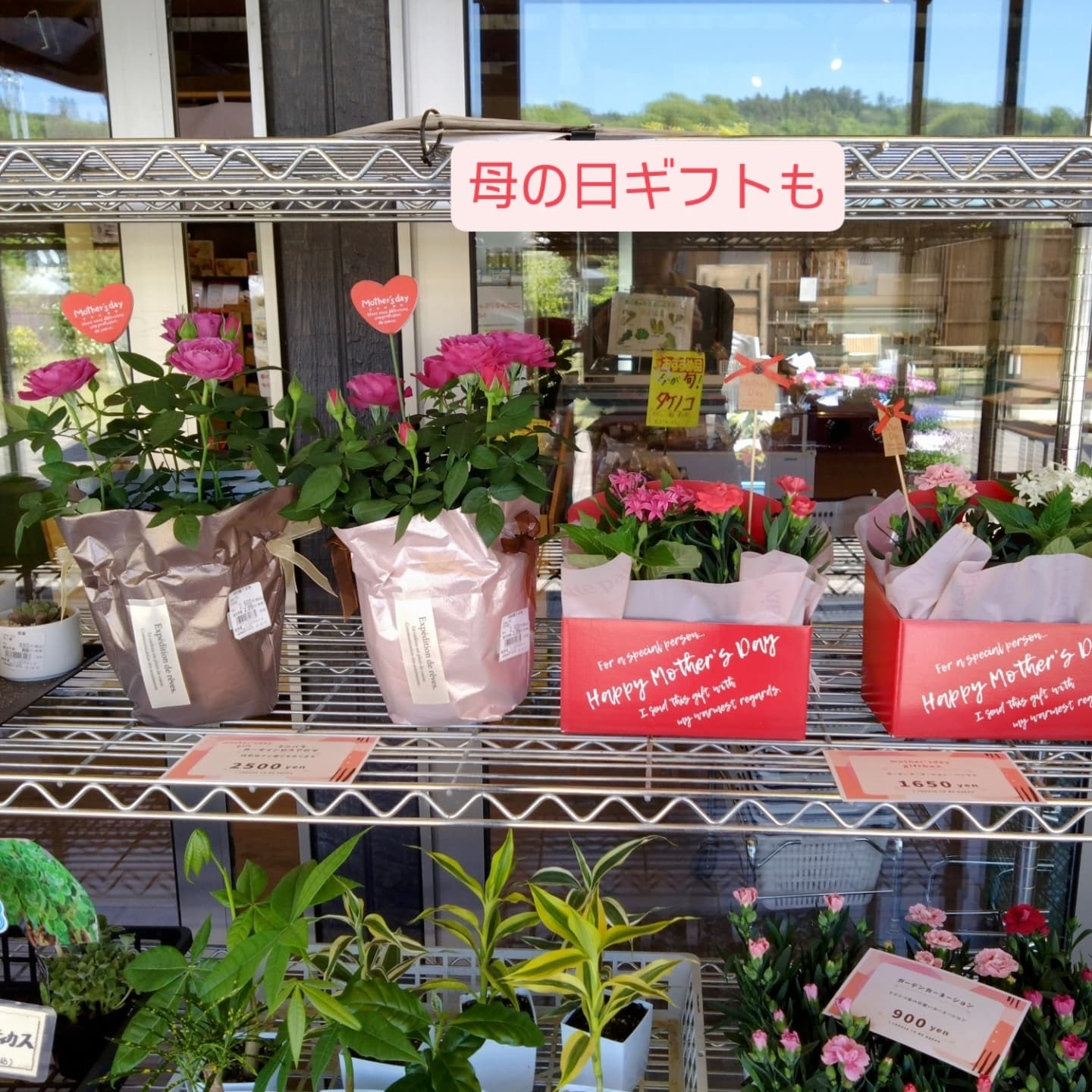 お花 納品してきました🌼