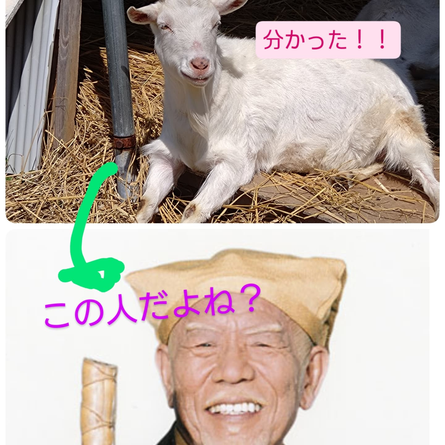 お花 納品してきました🌼