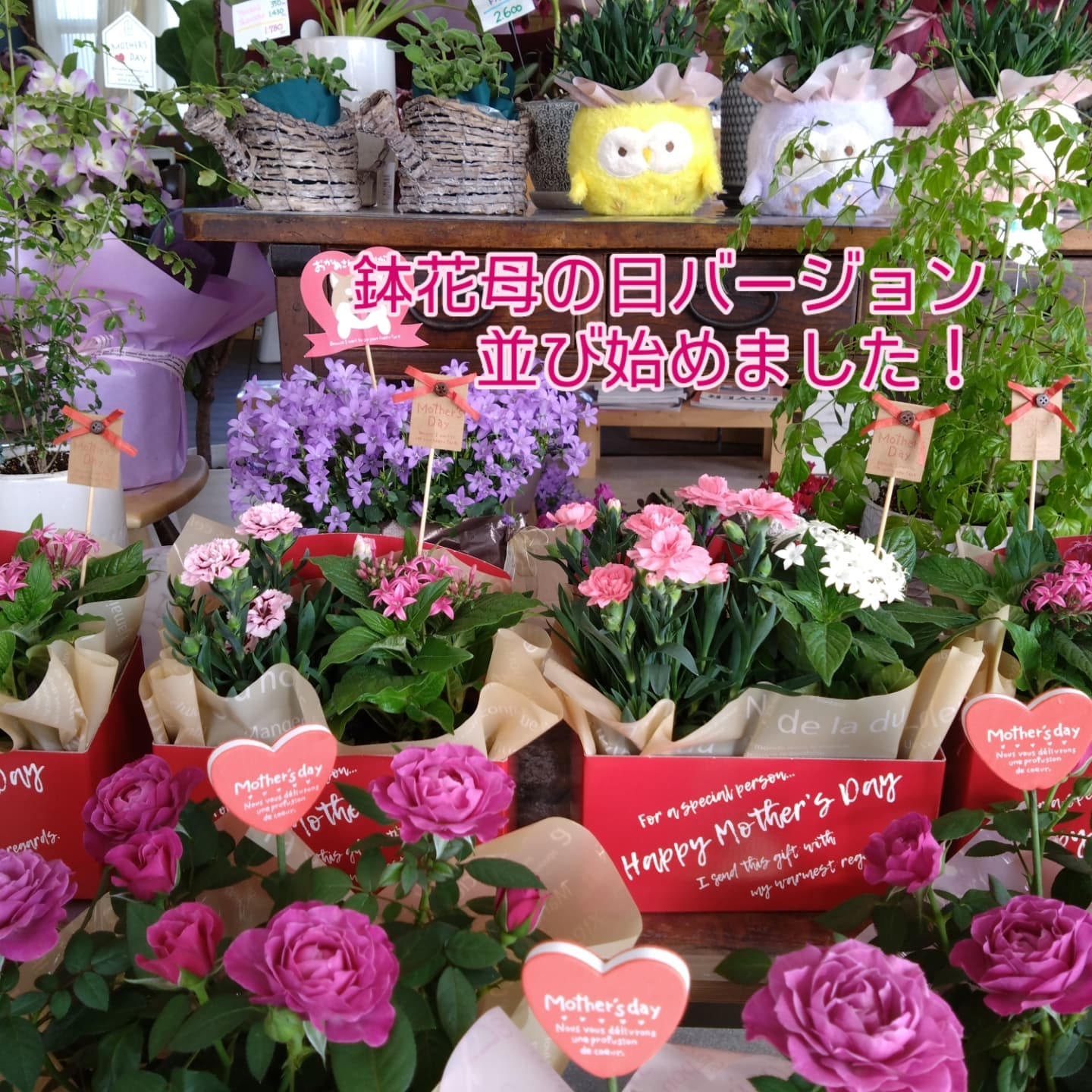 ５月11日　母の日💐💐