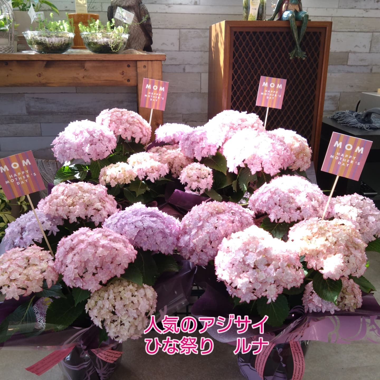 ５月11日　母の日💐💐