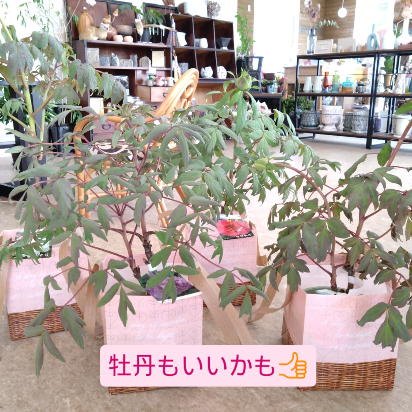 ５月11日　母の日💐💐