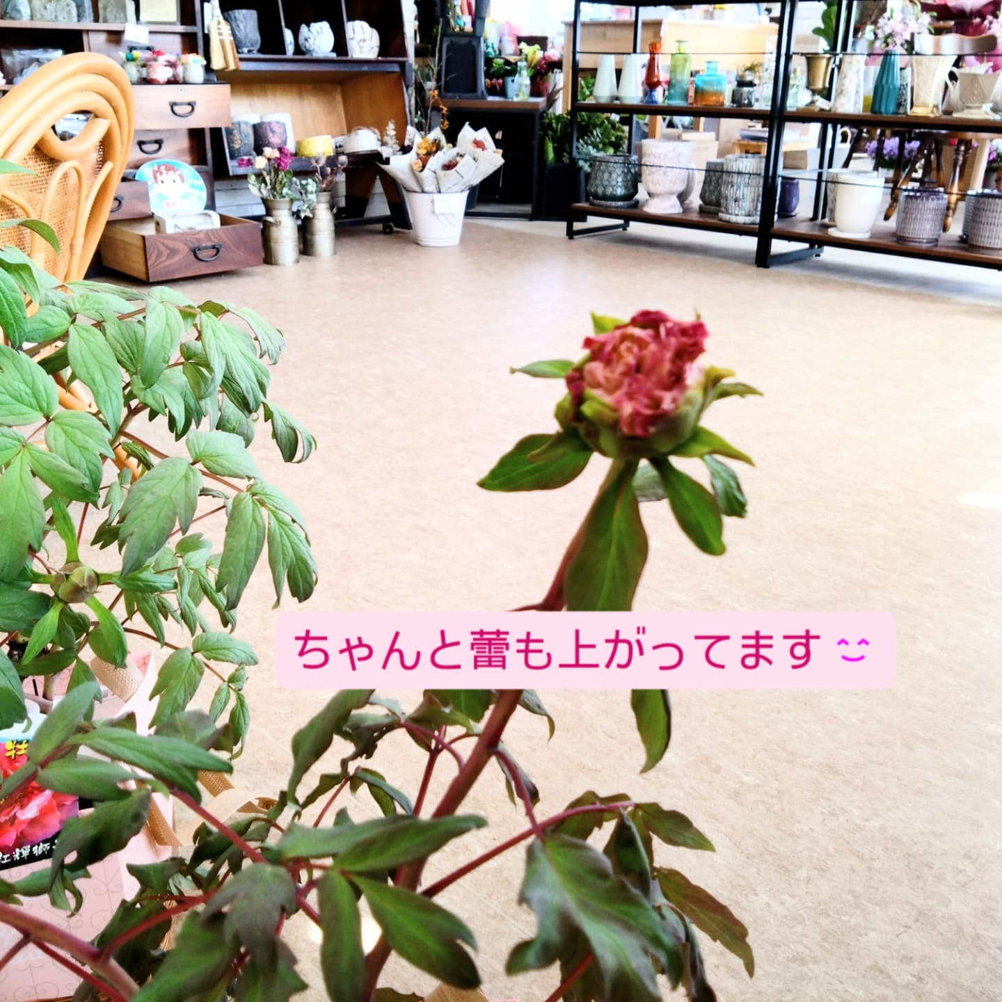 ５月11日　母の日💐💐