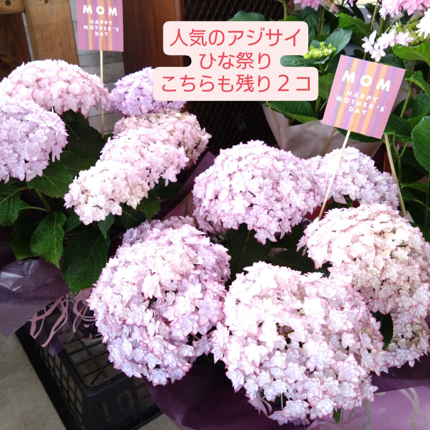 5月11日 母の日🌼