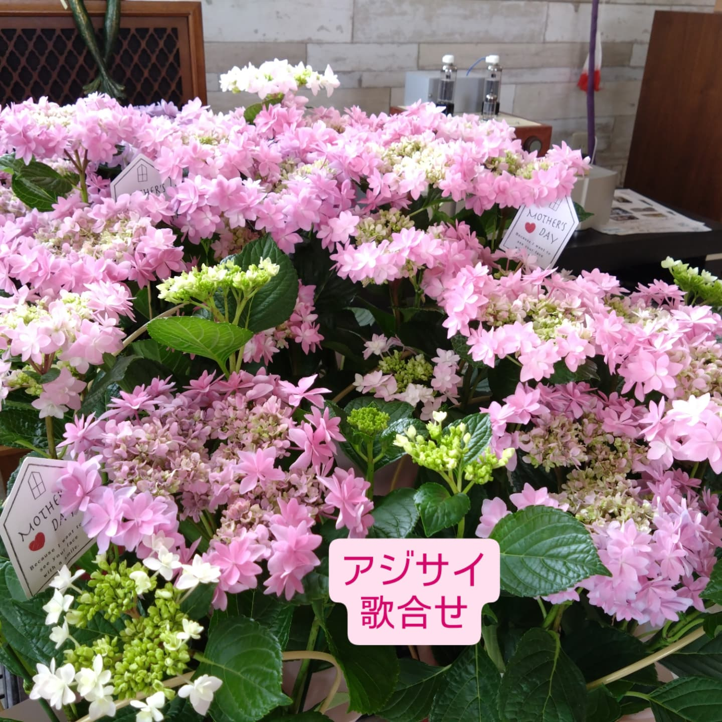 5月11日 母の日🌼