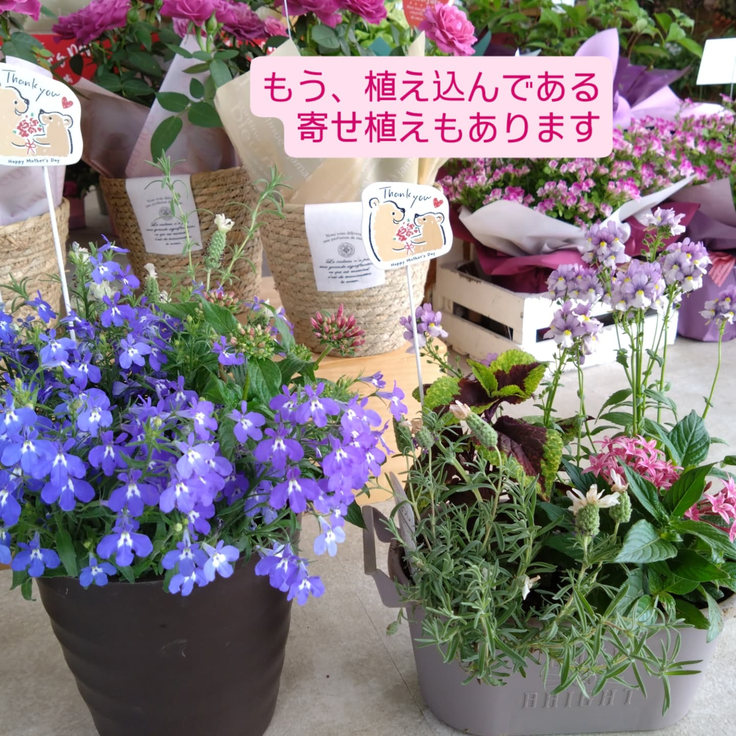 5月11日 母の日🌼