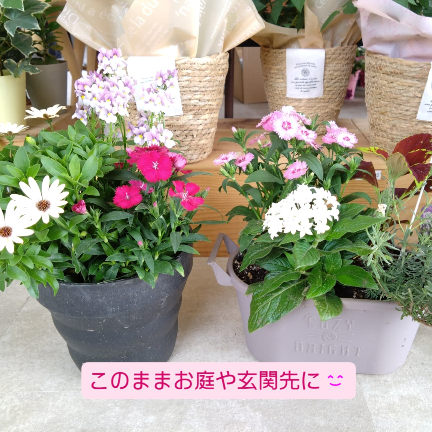 5月11日 母の日🌼