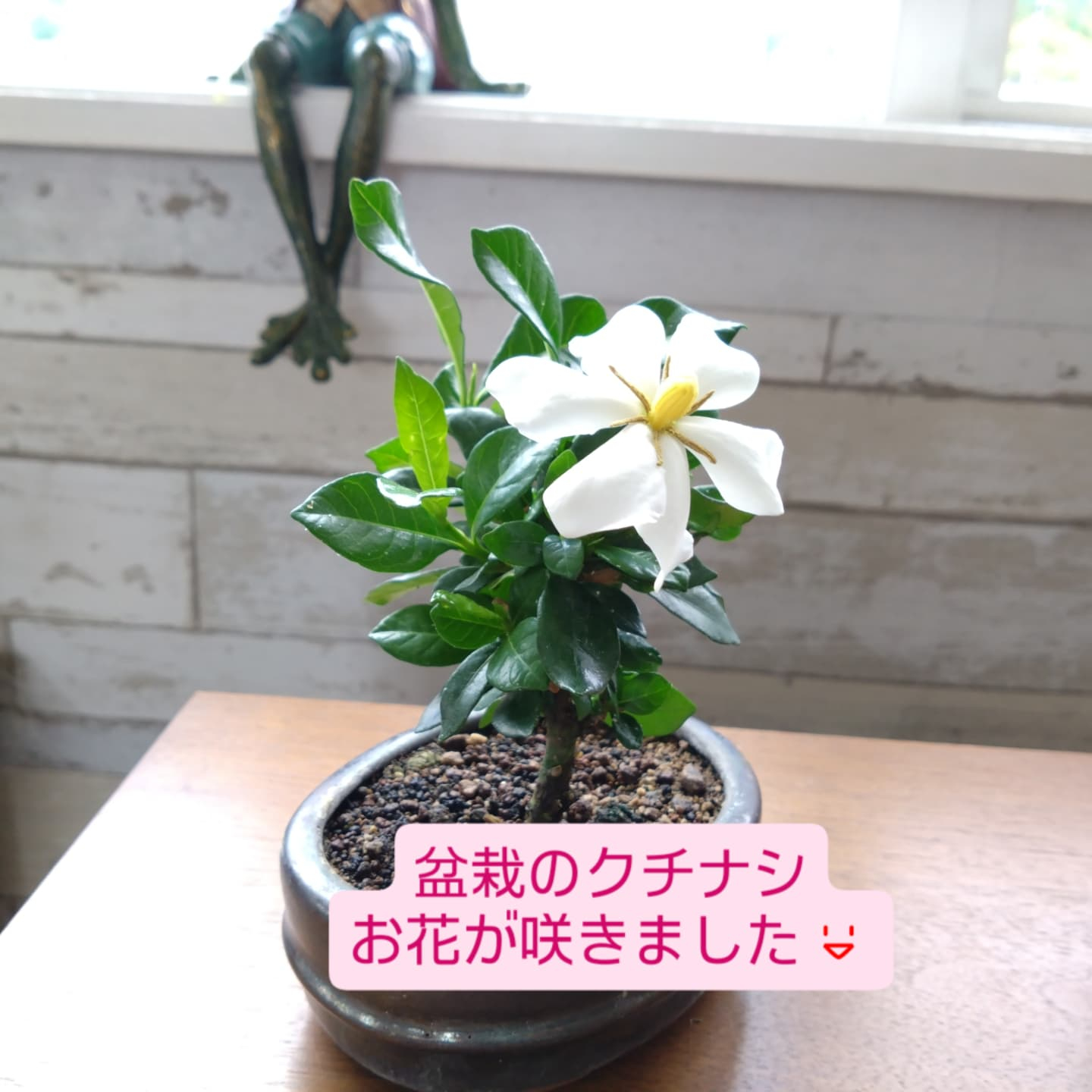 お祝いのフラワーギフト🌹