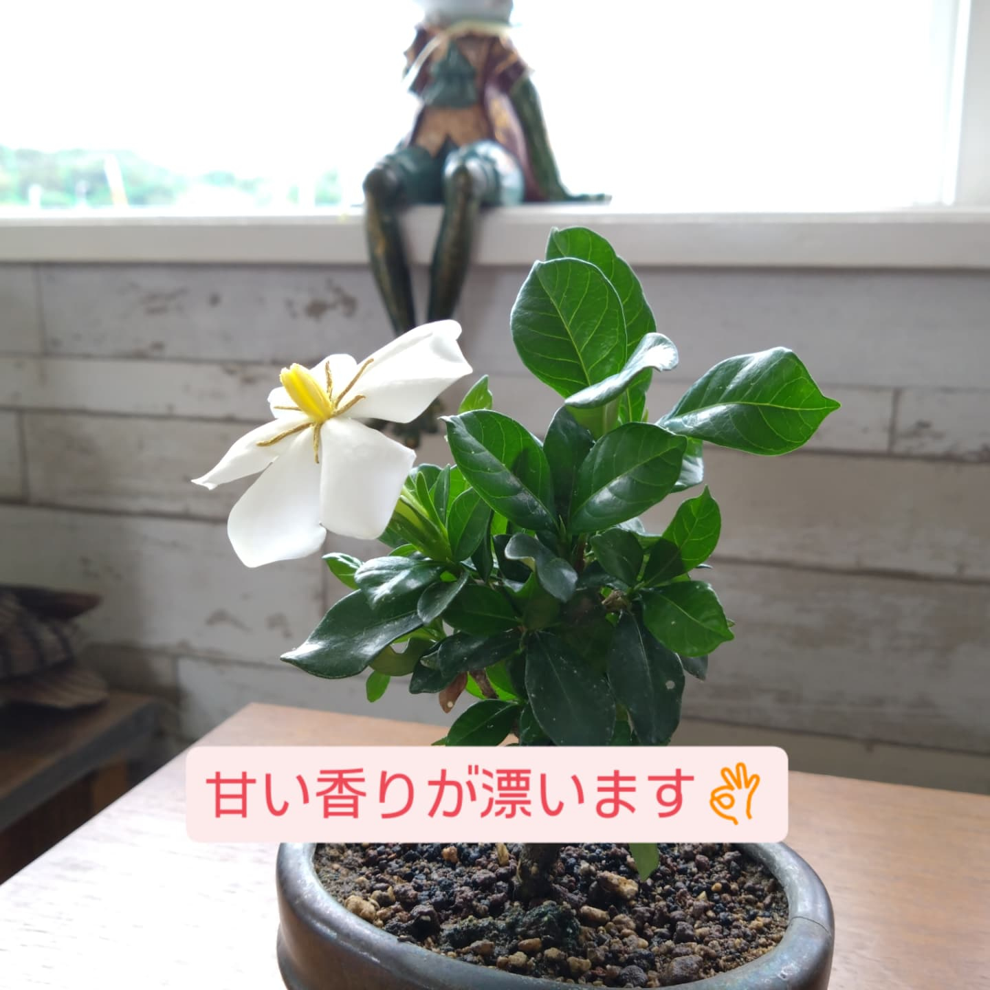 お祝いのフラワーギフト🌹