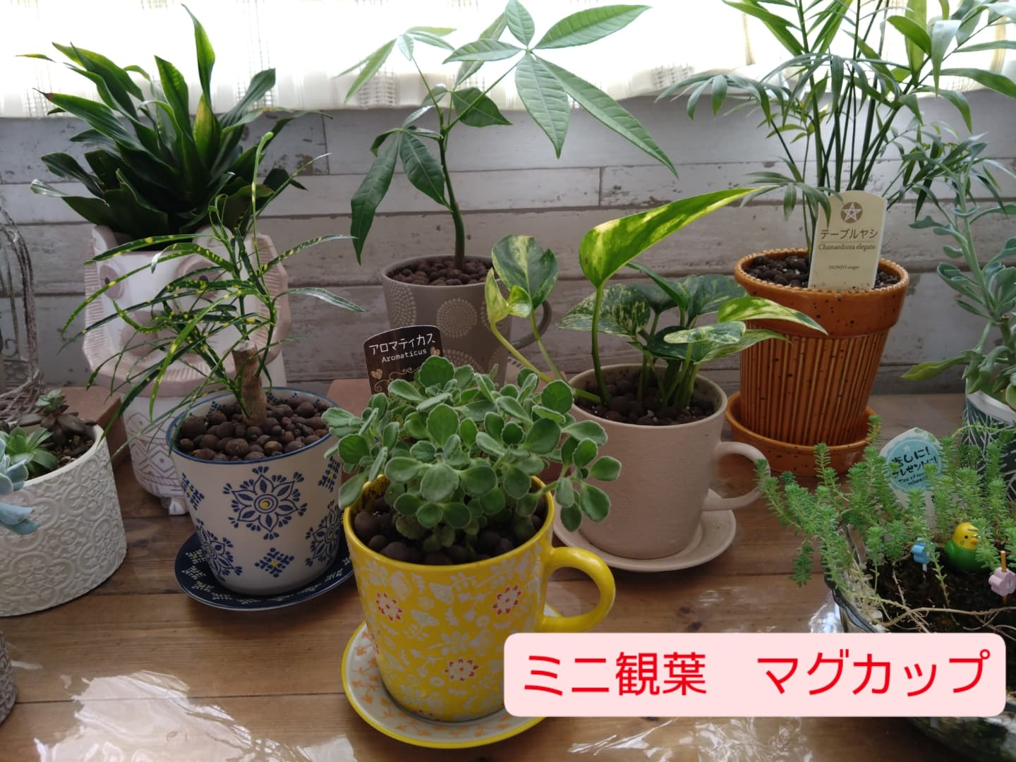 ドライフラワーアレンジ、アートフラワー