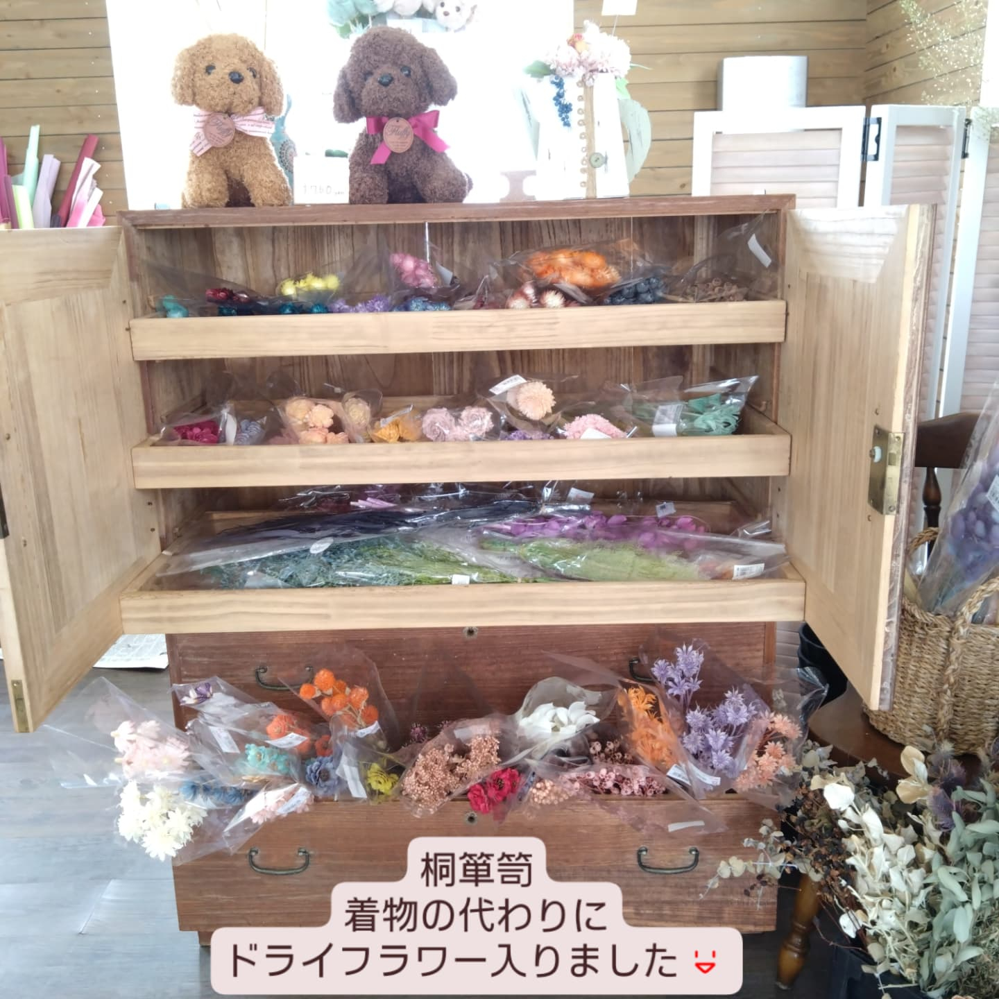 ネコちゃんの大好きハーブ