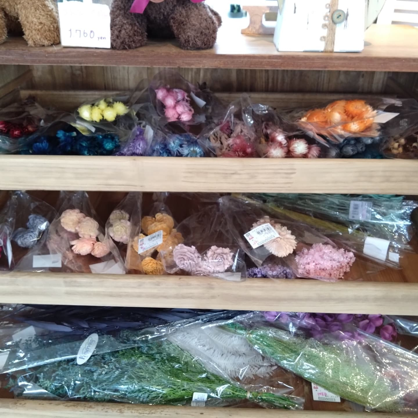 ネコちゃんの大好きハーブ