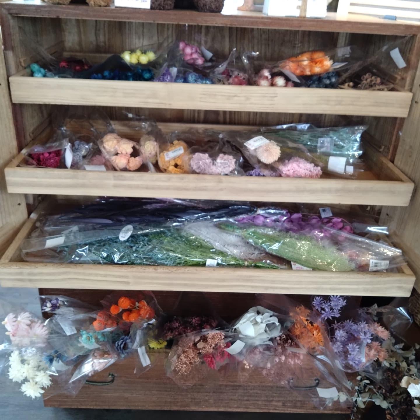 ネコちゃんの大好きハーブ