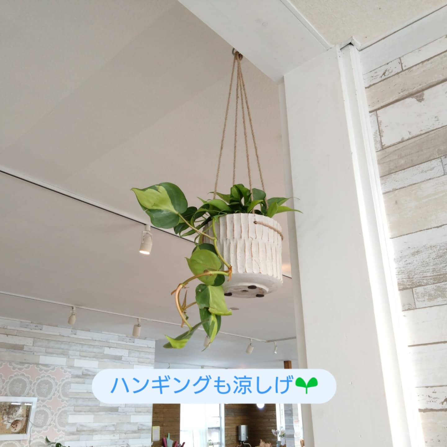 新しい 陶器鉢・花びんです😊