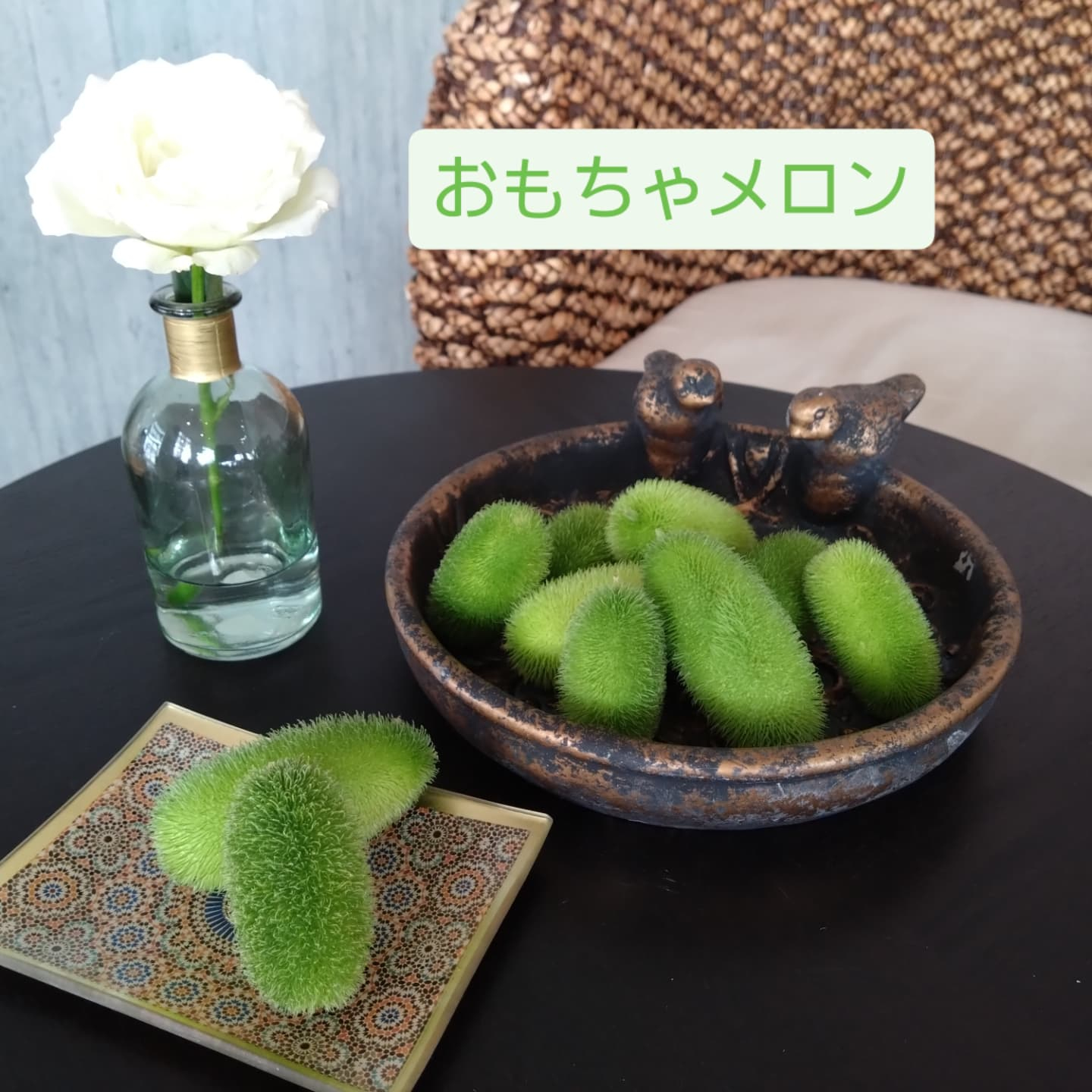 面白いの入りました😆