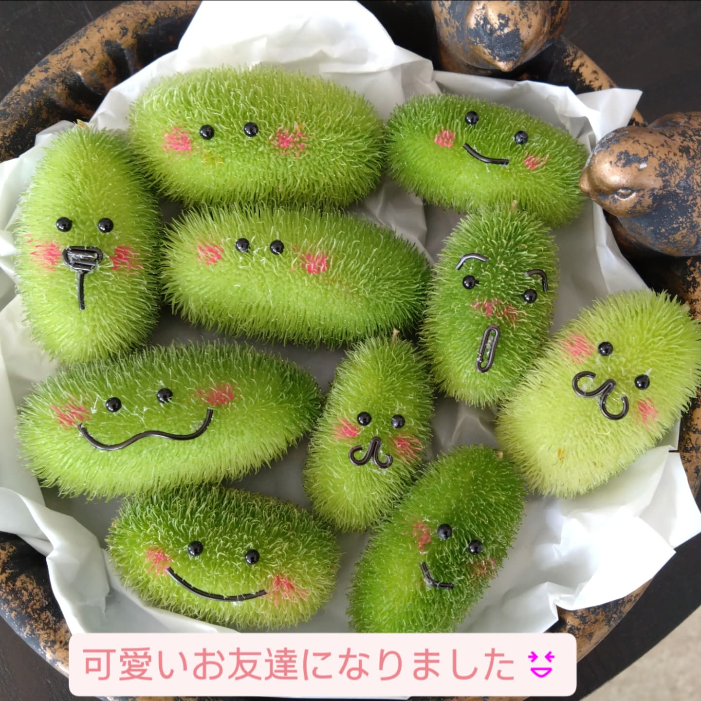 面白いの入りました😆