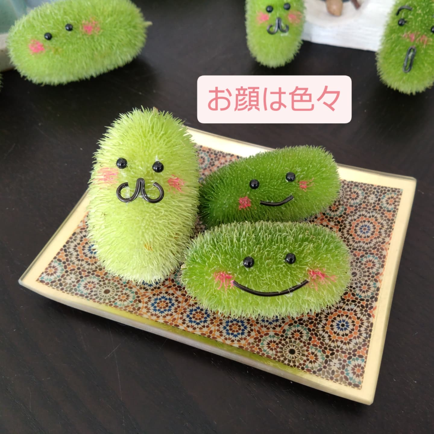 面白いの入りました😆