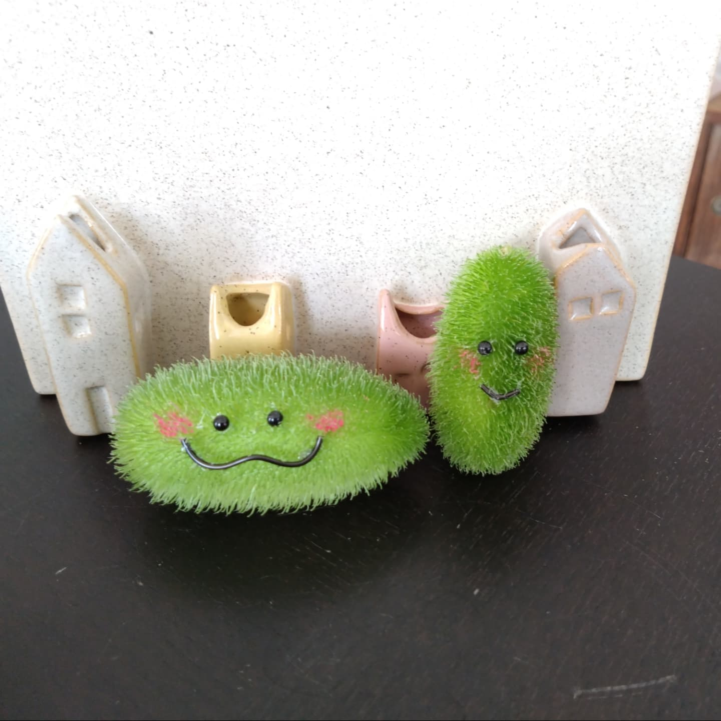 面白いの入りました😆