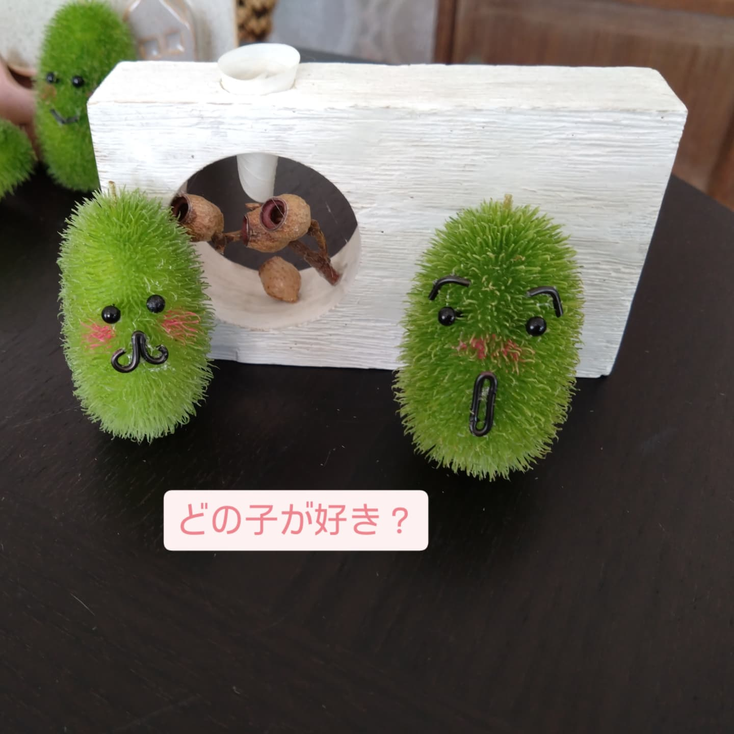 面白いの入りました😆