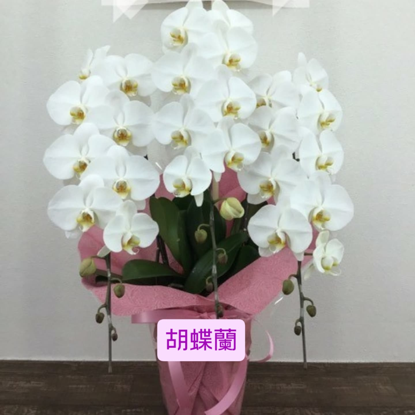 お供えアレンジ、胡蝶蘭