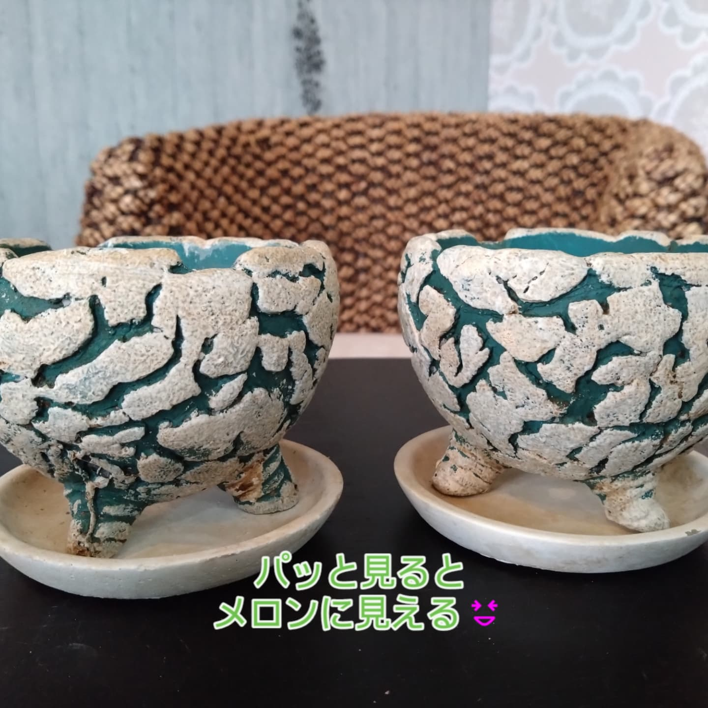 陶器鉢入りました🆕