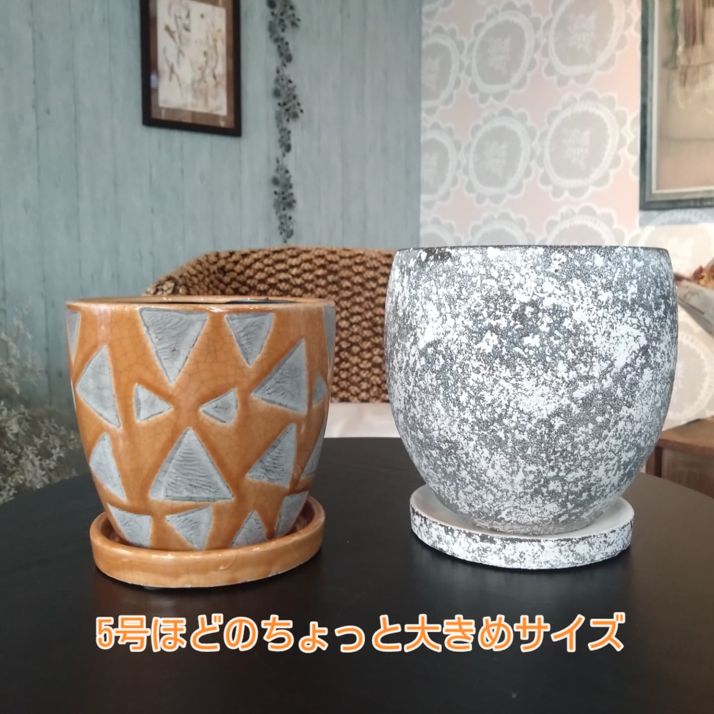 陶器鉢入りました🆕