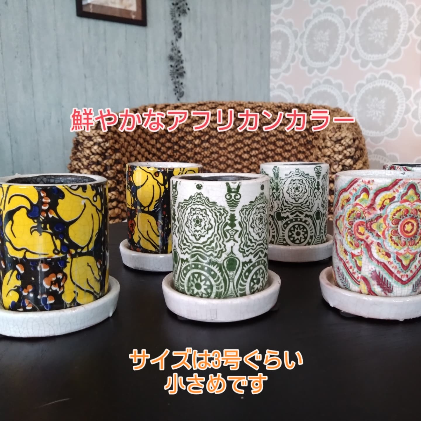 陶器鉢入りました🆕