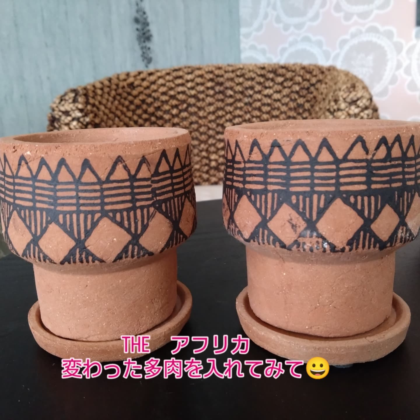 陶器鉢入りました🆕
