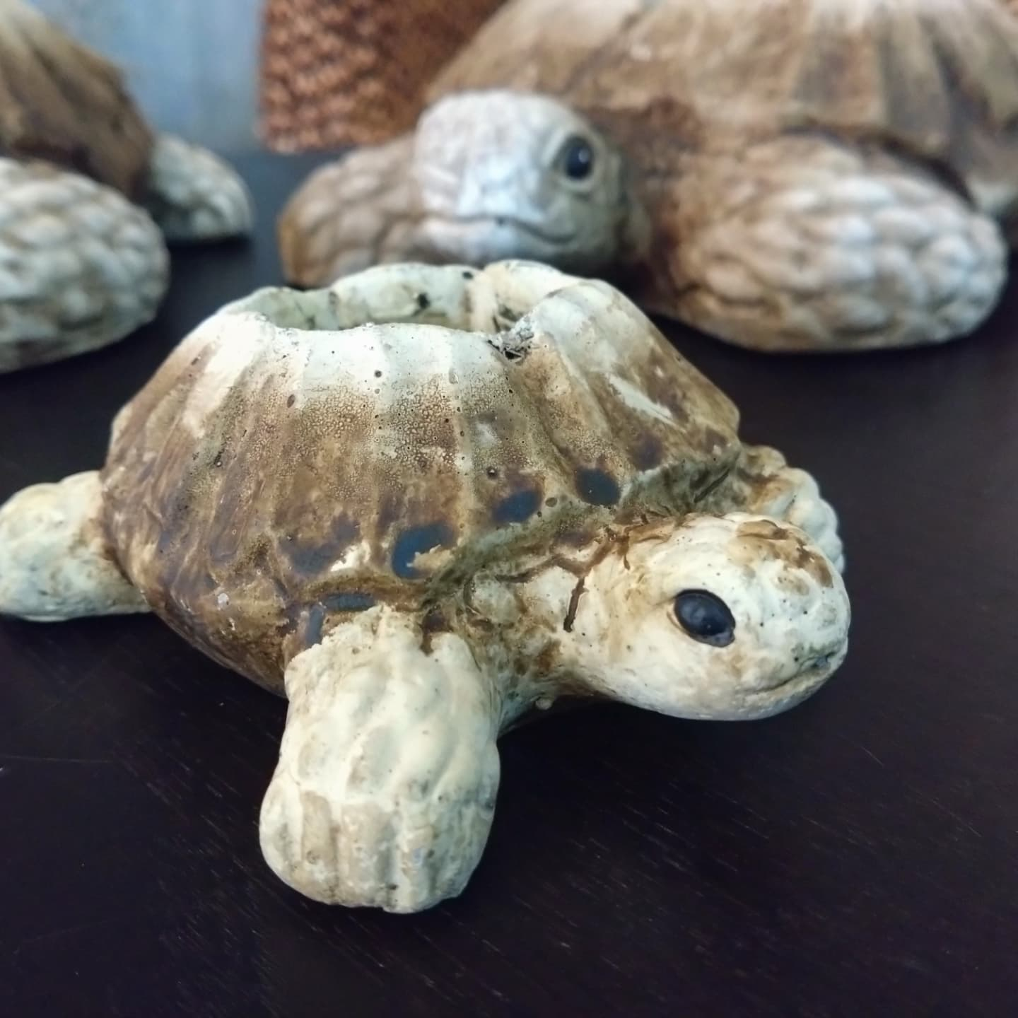 動物シリーズ🦒🐢