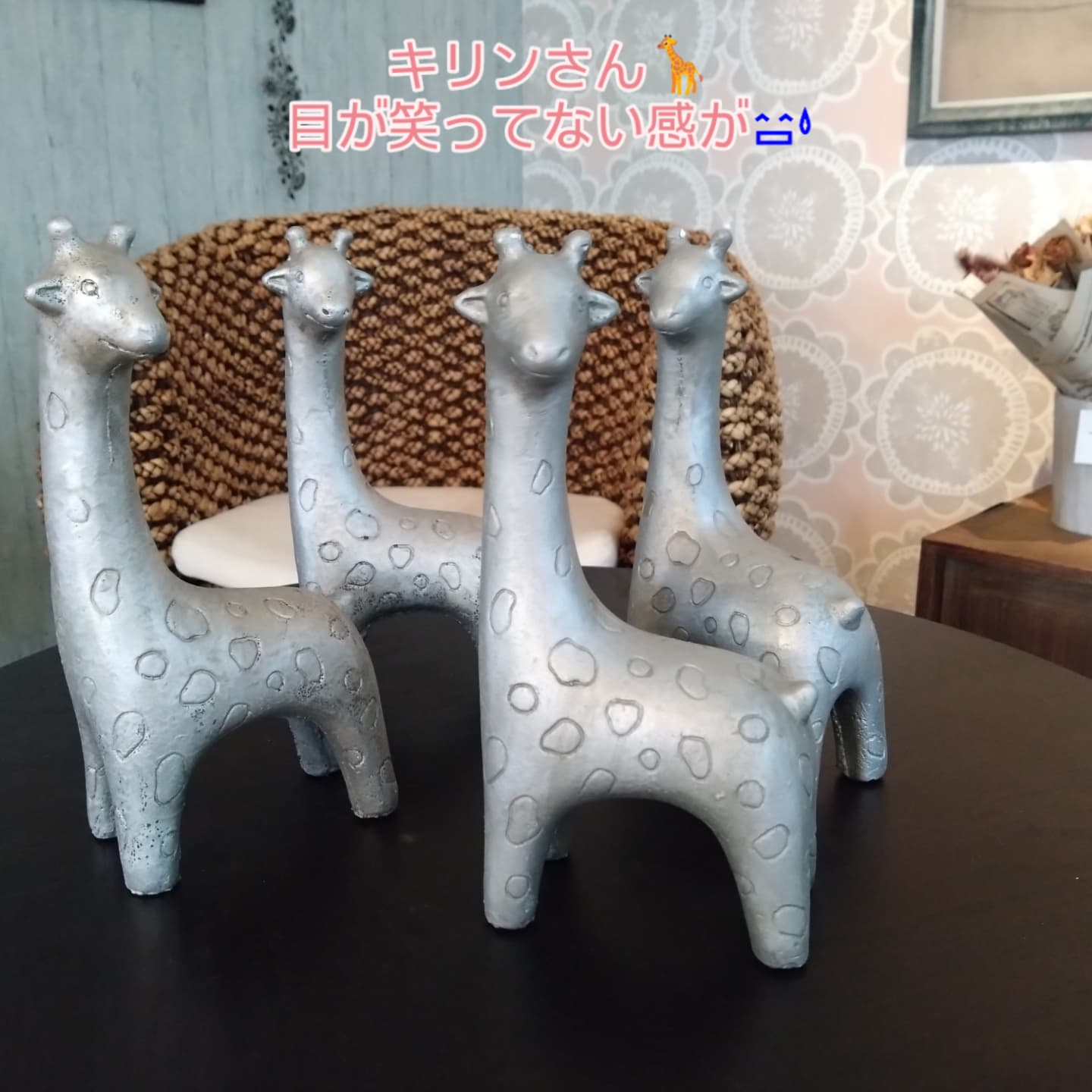 動物シリーズ🦒🐢