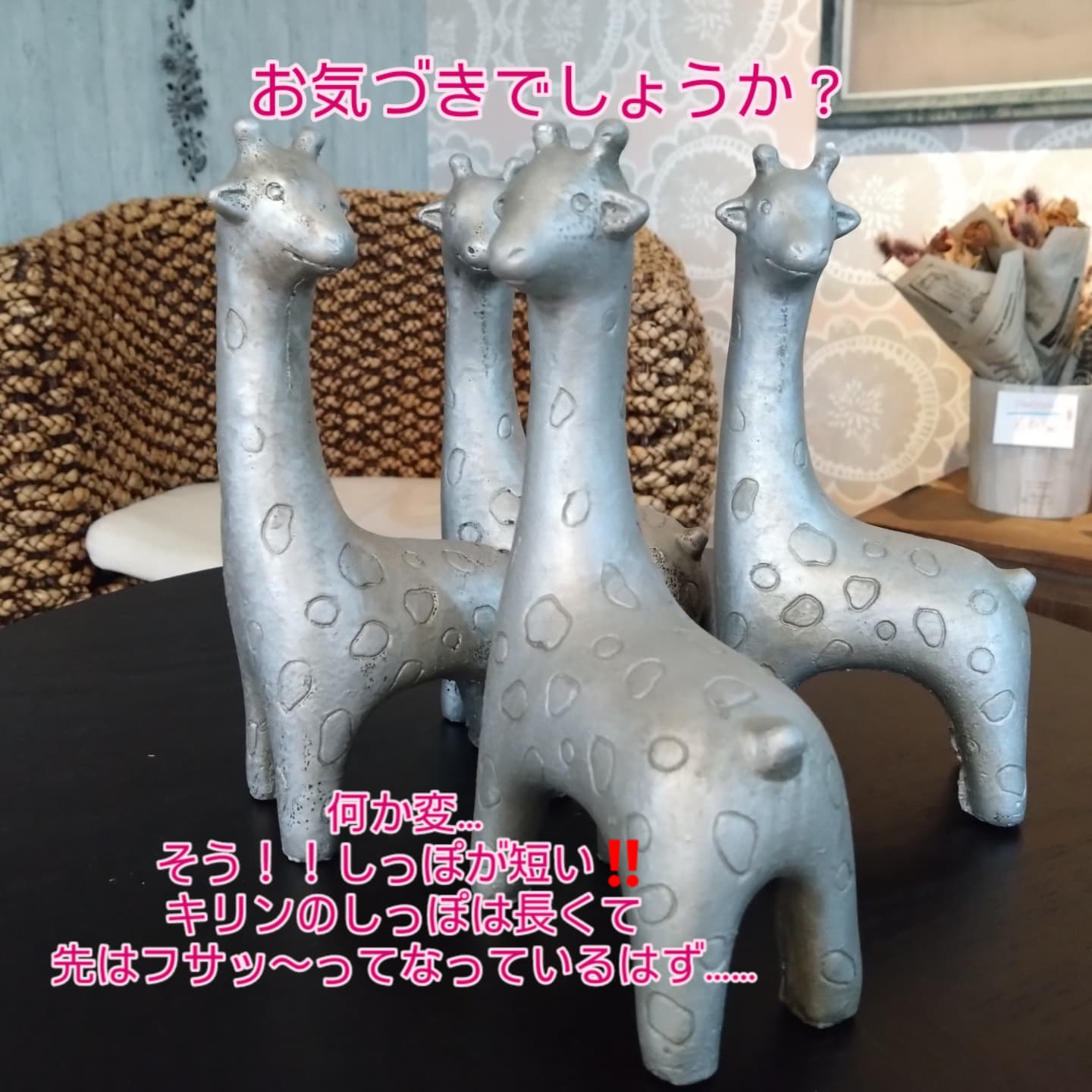 動物シリーズ🦒🐢
