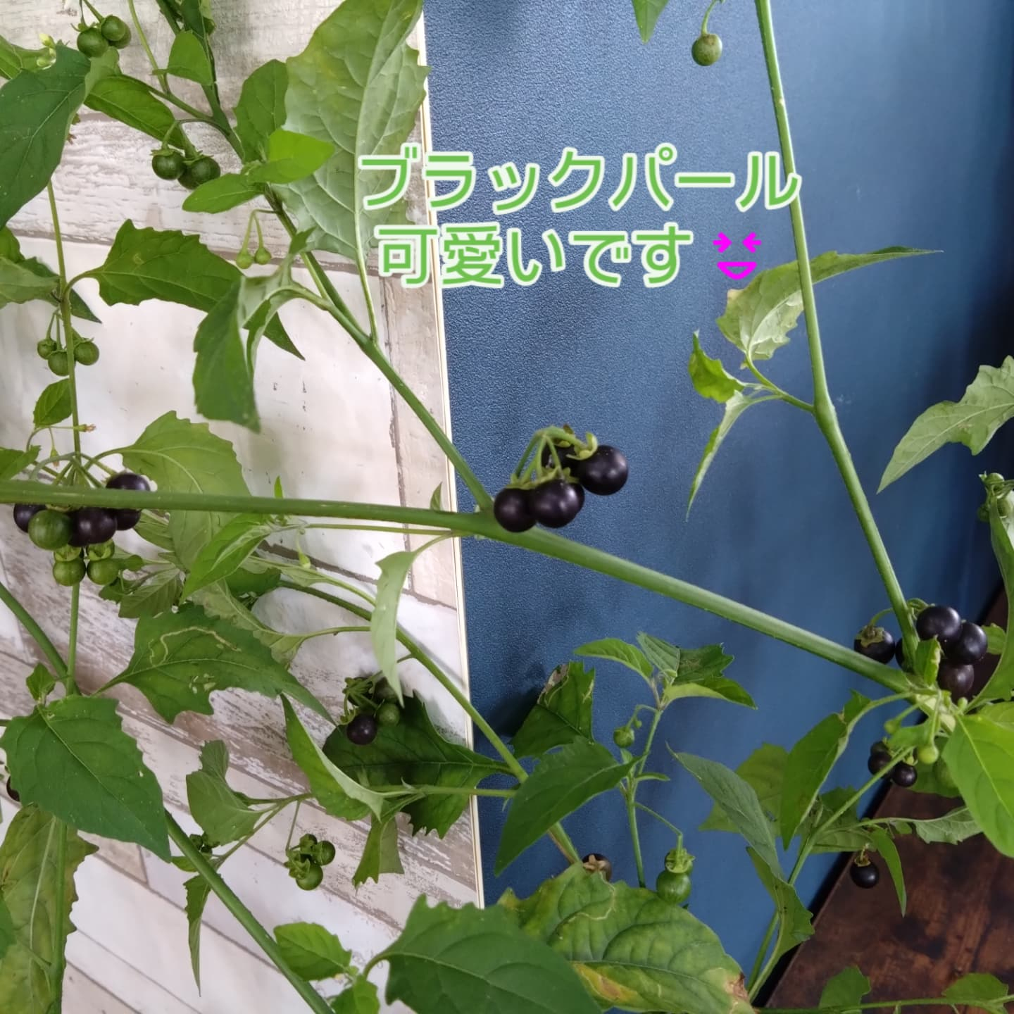 色合い、素材で表情が変わるアレンジメント