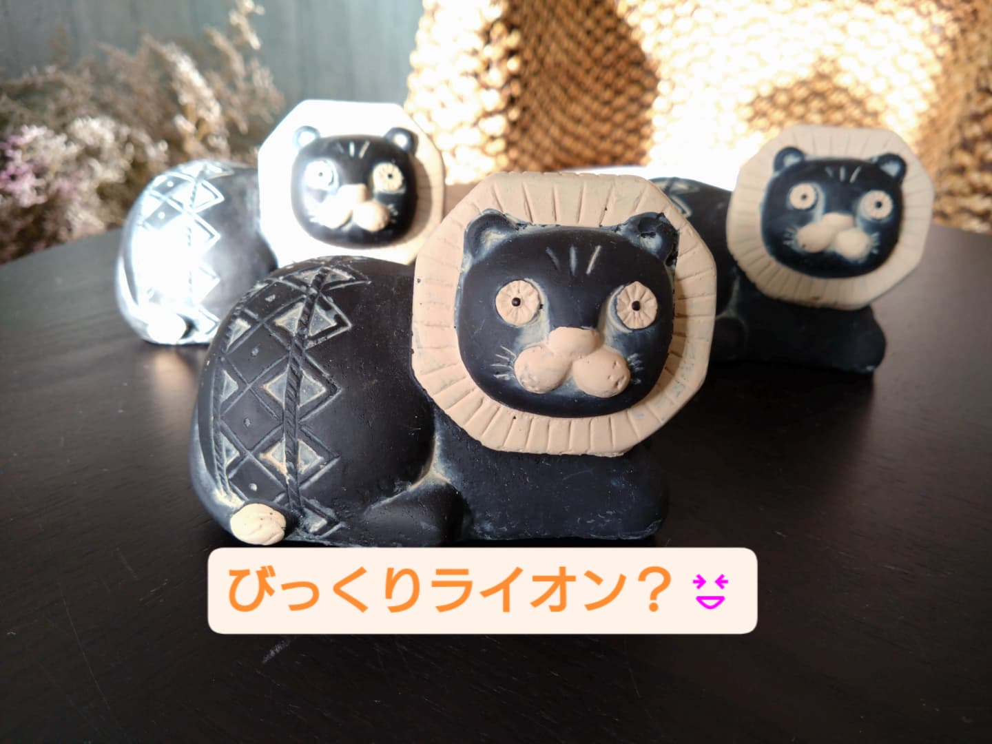 アフリカンアニマルお友達増えました😀