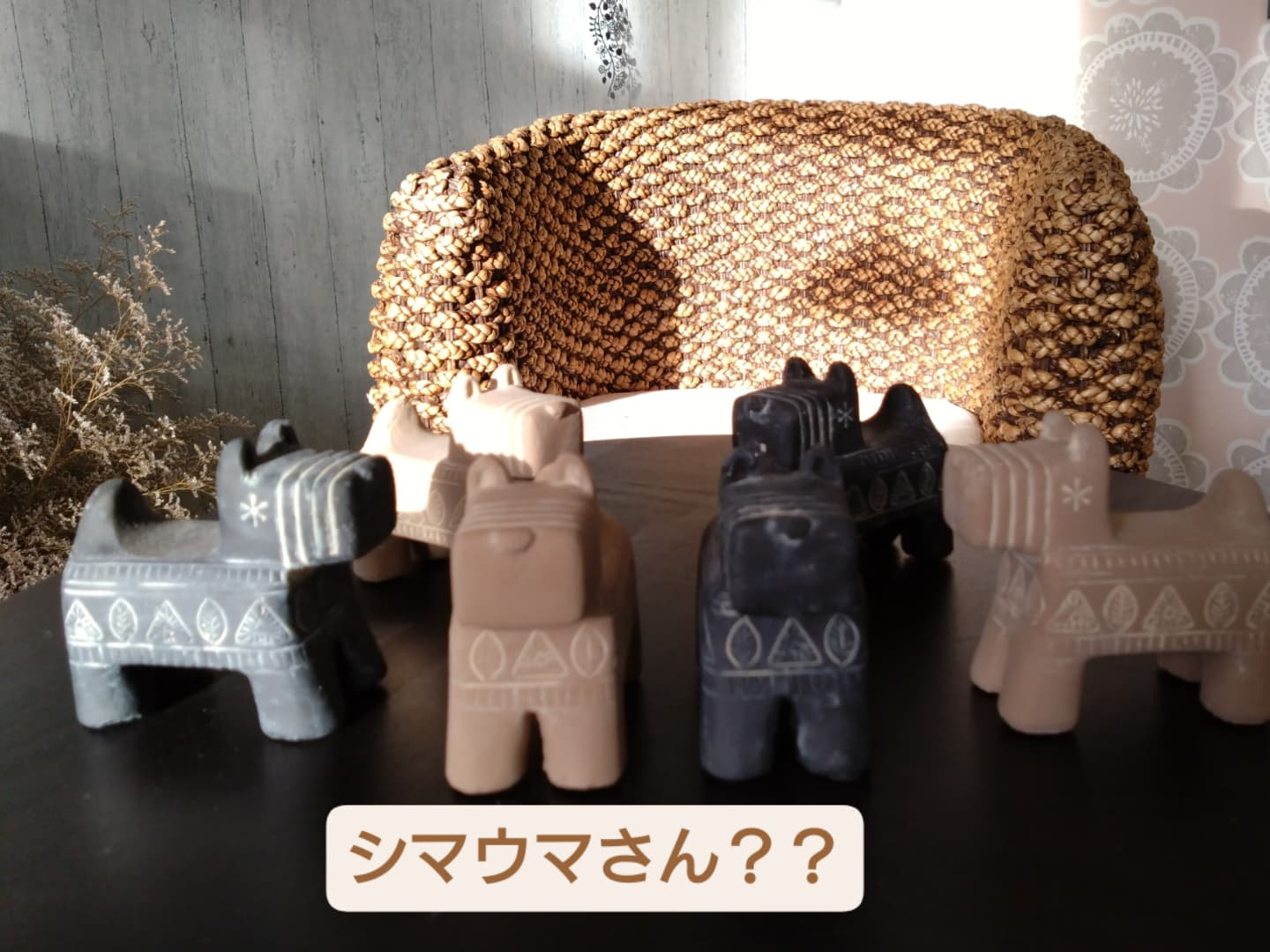 アフリカンアニマルお友達増えました😀