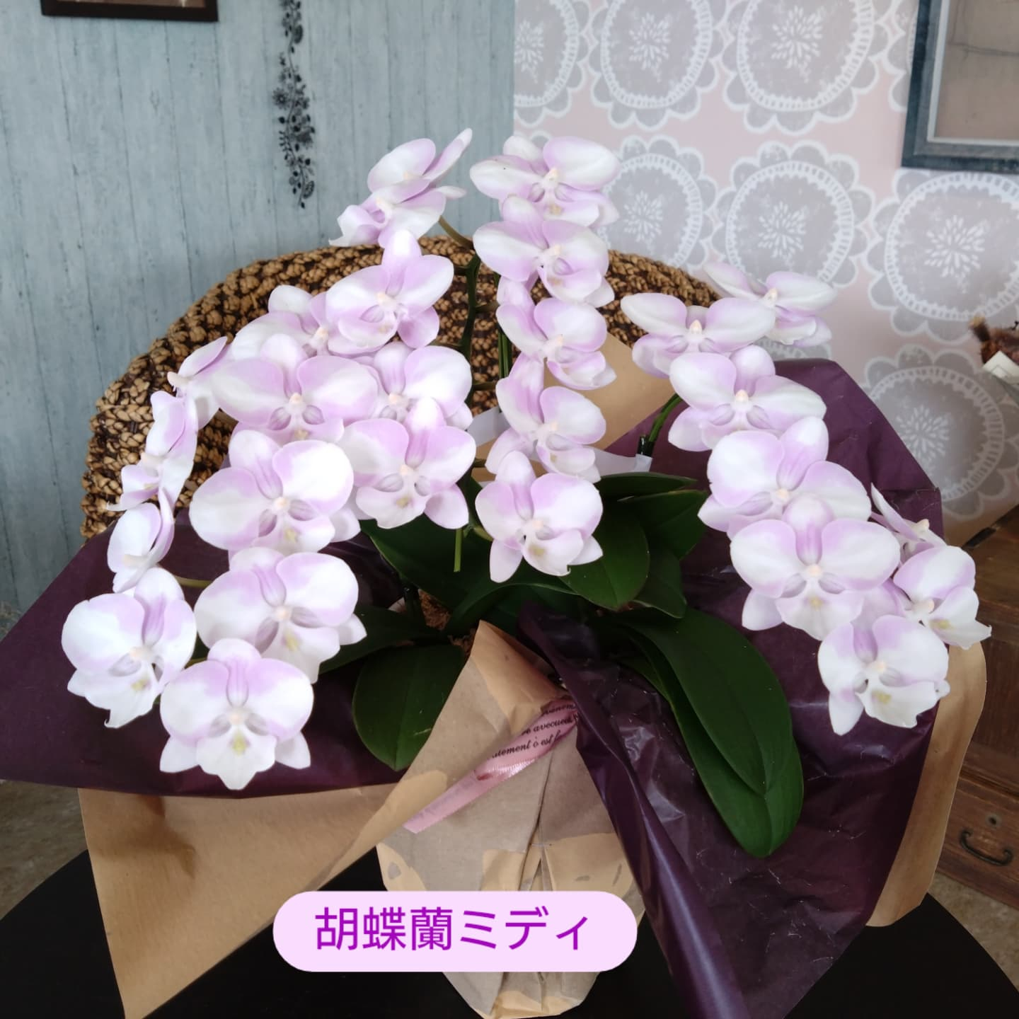 敬老の日ギフト☺️