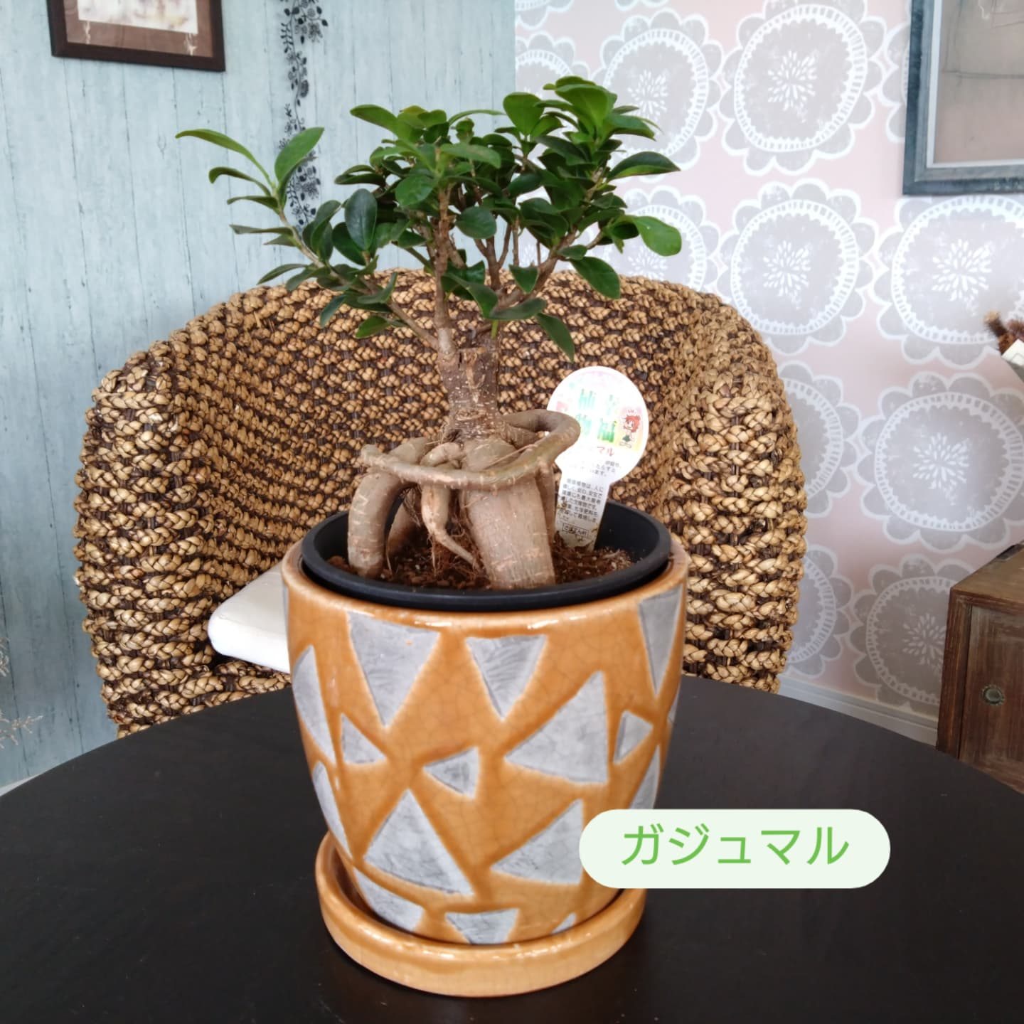 敬老の日ギフト☺️