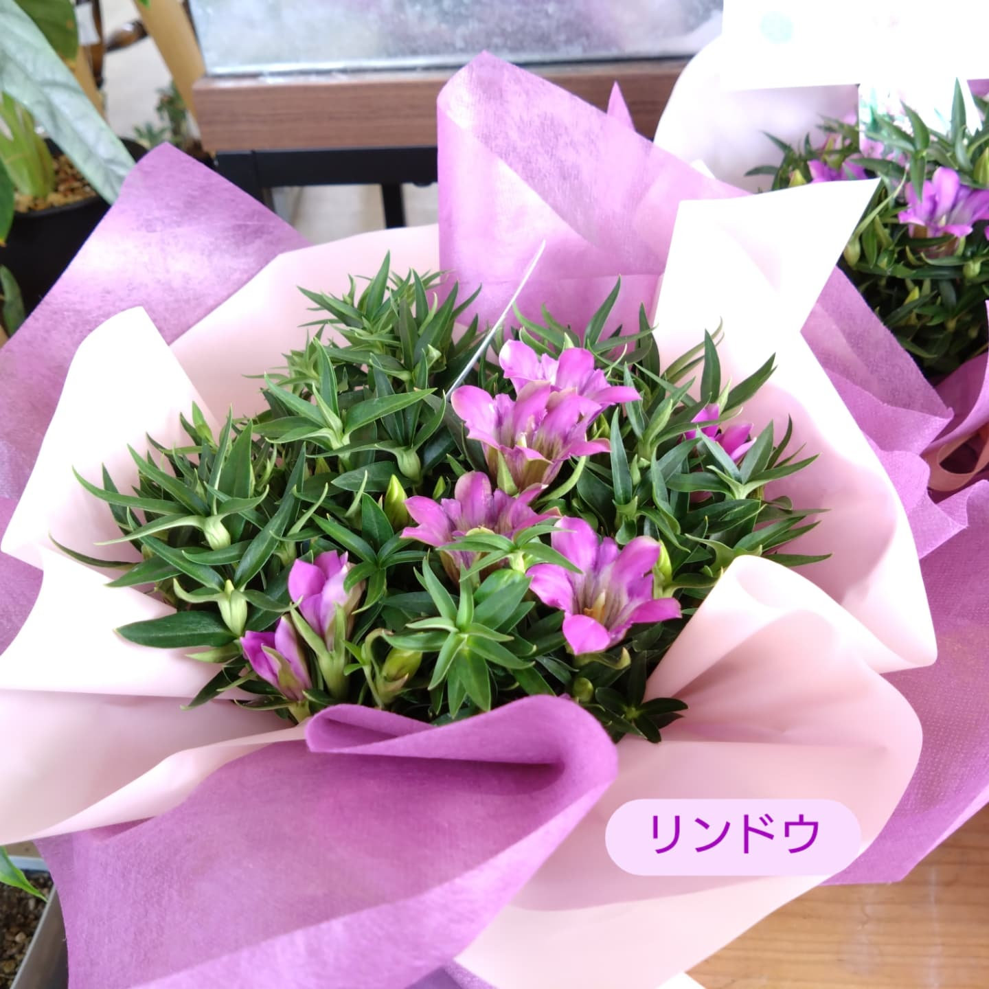 敬老の日ギフト☺️