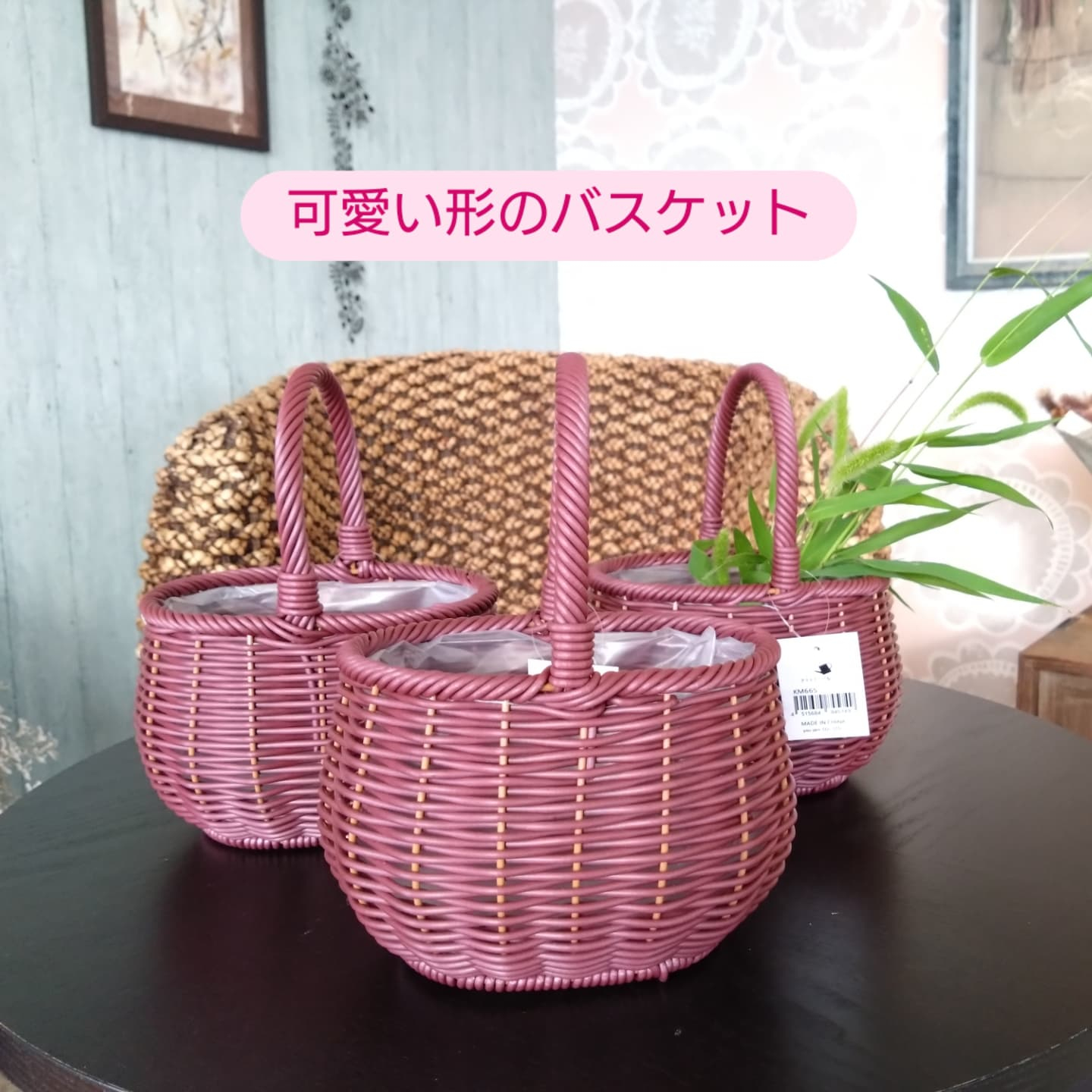 可愛い雑貨🆕のご紹介😊