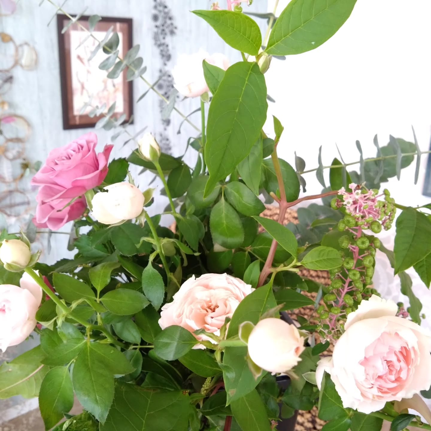 ヤマゴボウが可愛いです😊