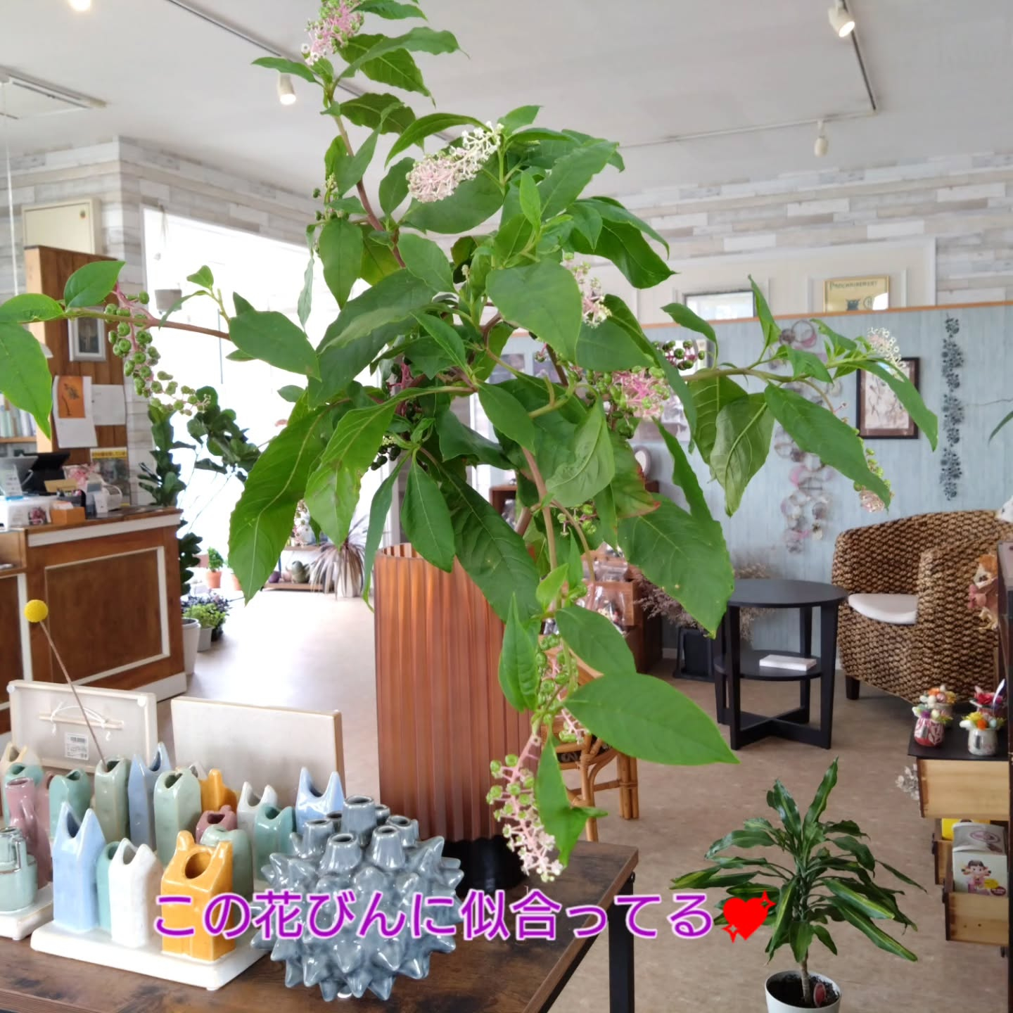 ヤマゴボウが可愛いです😊