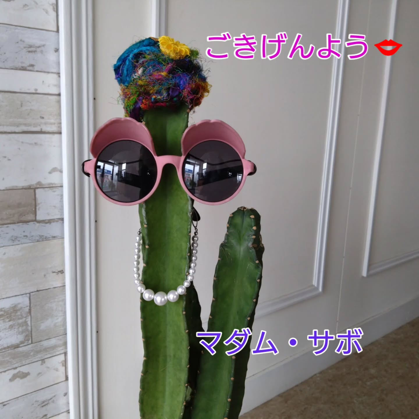 マダム・サボ🌵