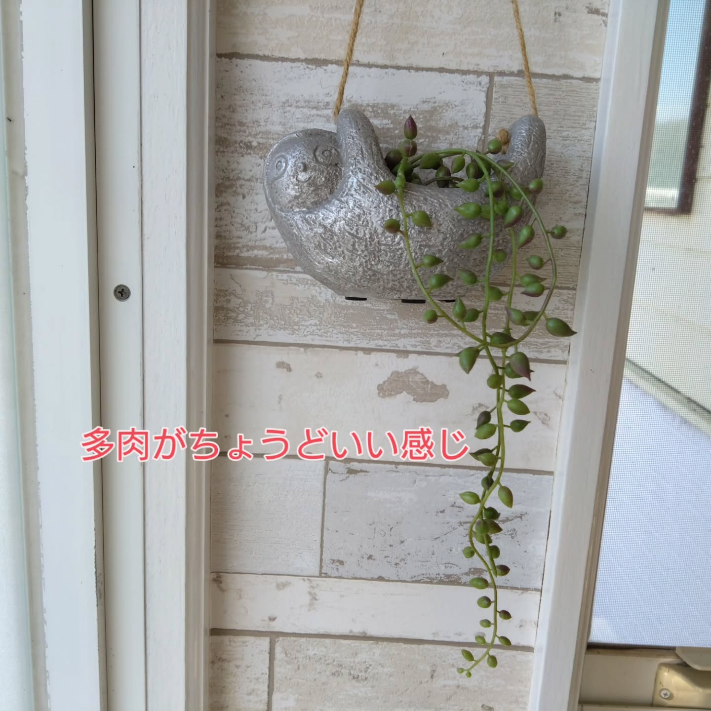 Newリース&Newアイテム