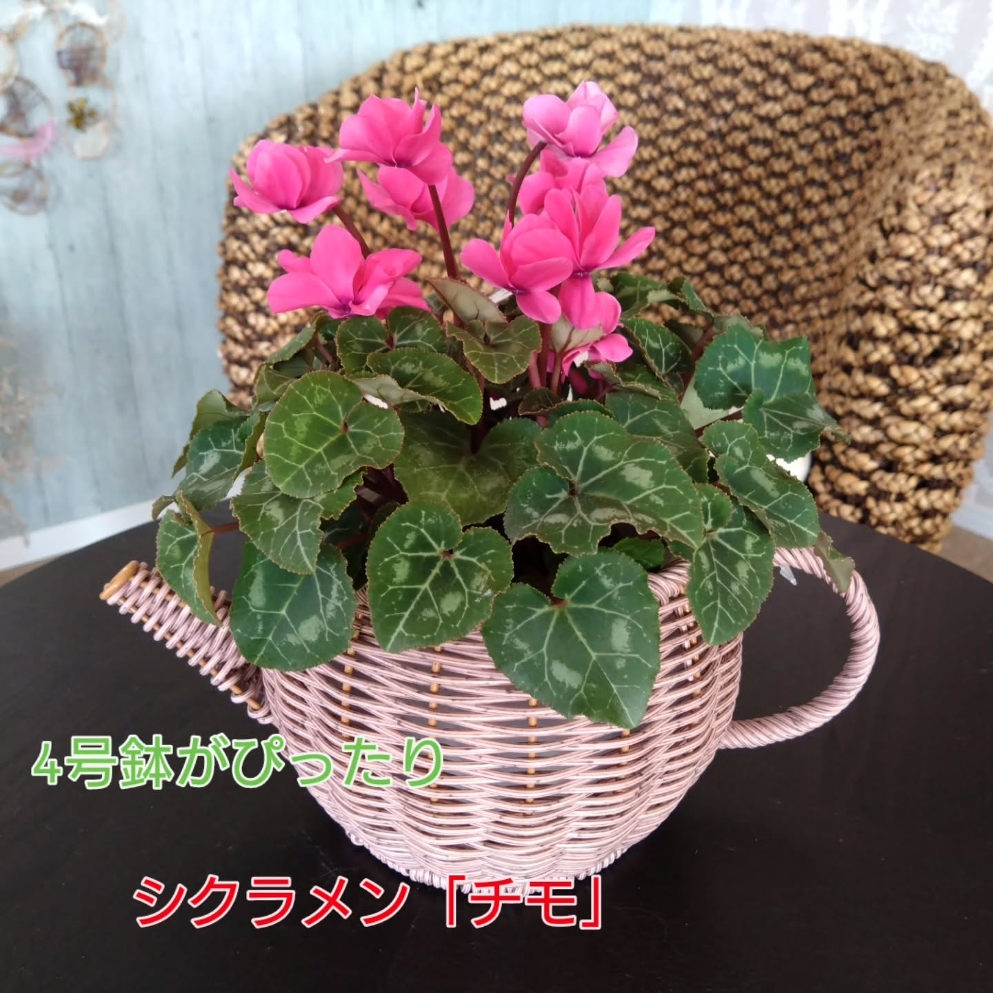 Newリース&Newアイテム