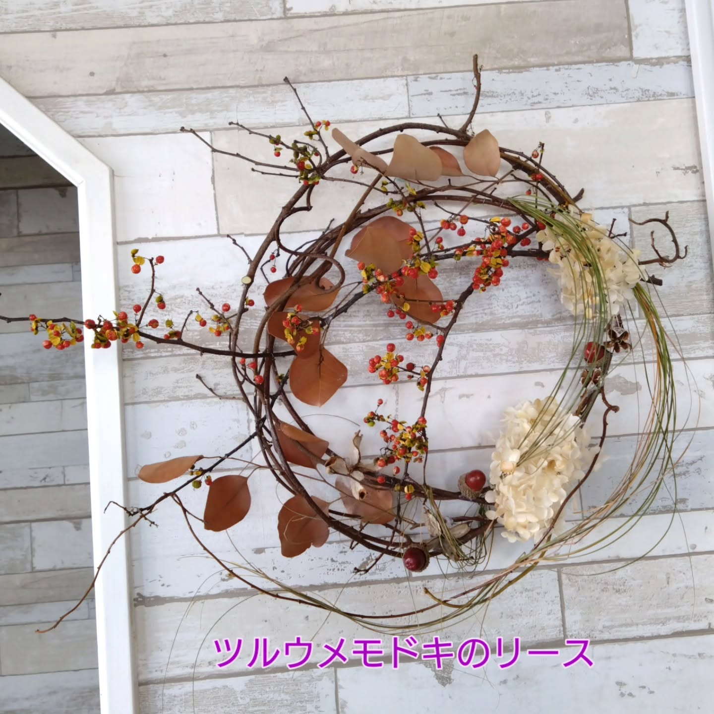 ポインセチアゴールド✨