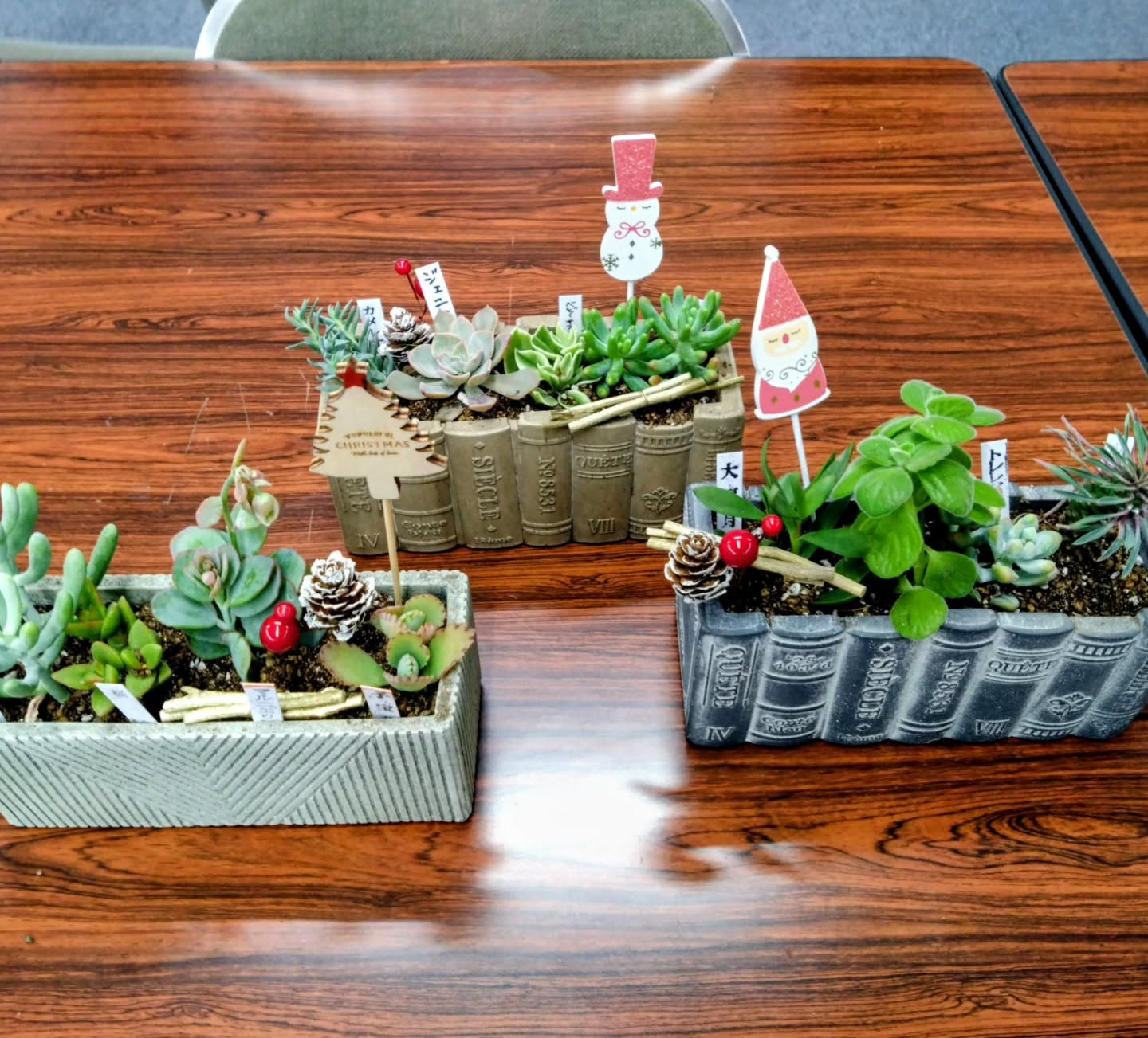 多肉の寄せ植え講習会