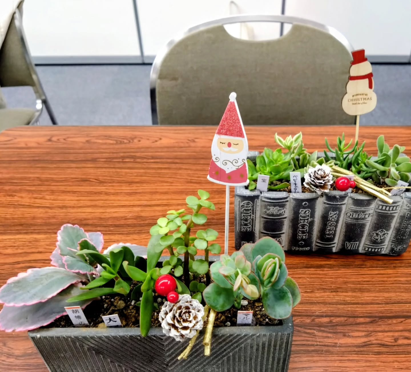 多肉の寄せ植え講習会