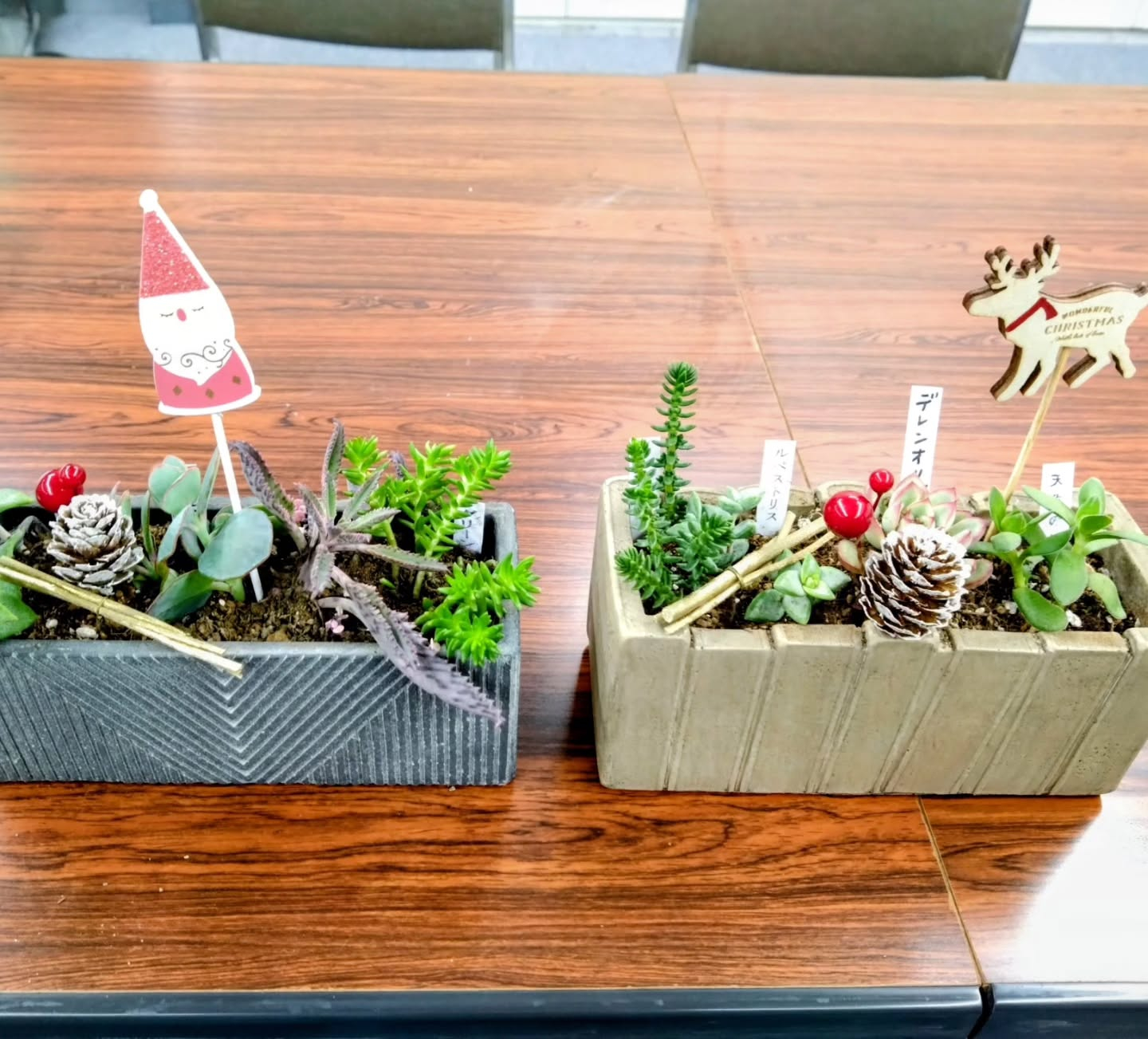 多肉の寄せ植え講習会