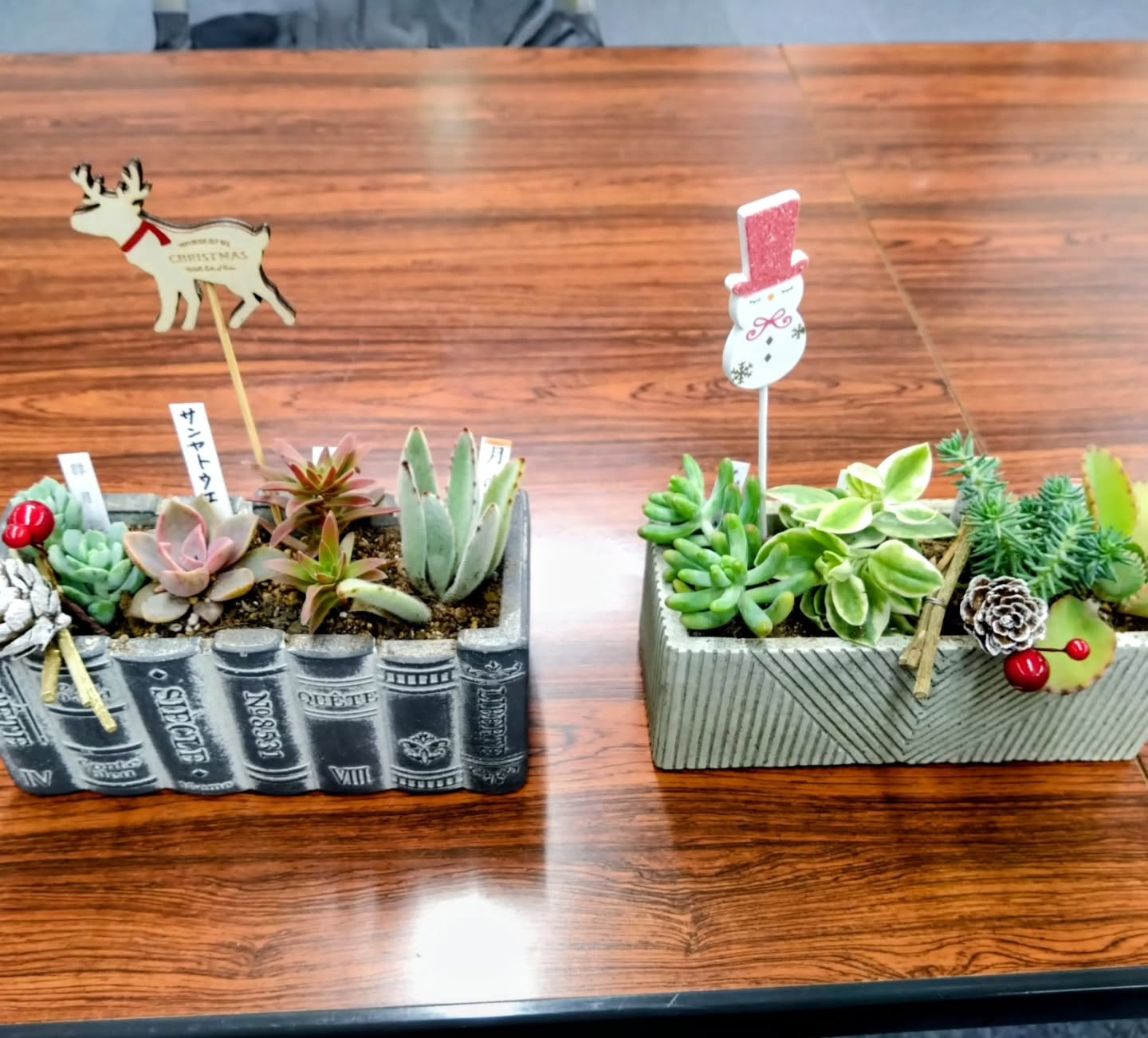 多肉の寄せ植え講習会