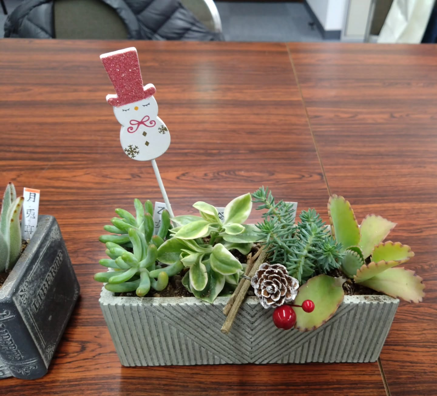 多肉の寄せ植え講習会