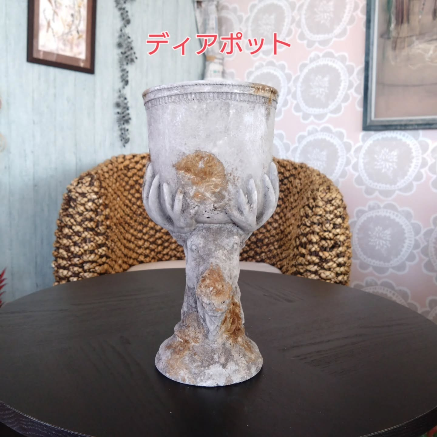 アニマルシリーズNew💕